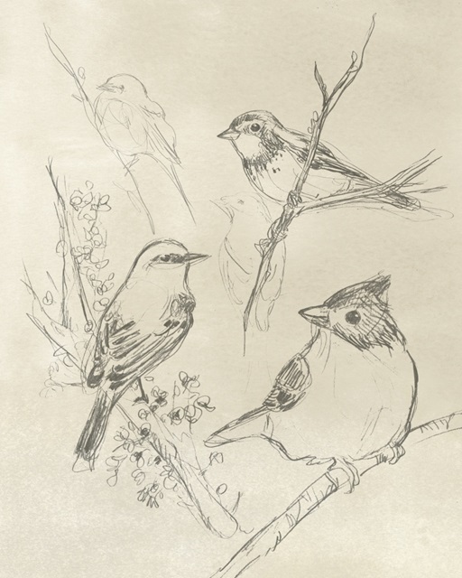 Vintage Songbird Sketch I