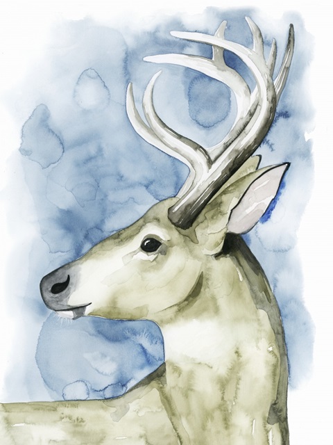 Wandering Stag I