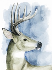 Wandering Stag II