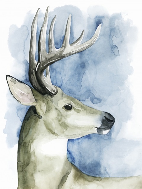 Wandering Stag II