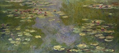 Water Lilies I