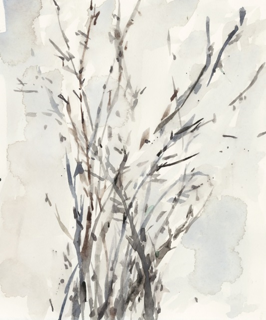 Watercolor Branches I