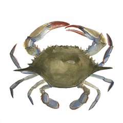 Watercolor Crab II