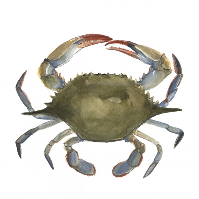 Watercolor Crab II