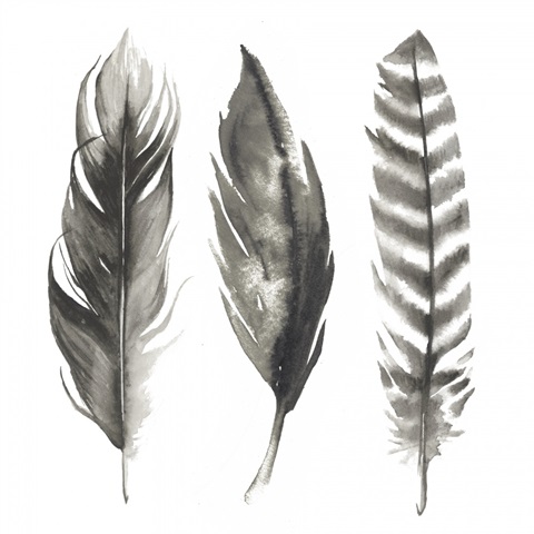 Watercolor Feathers I