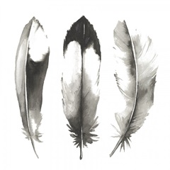 Watercolor Feathers II