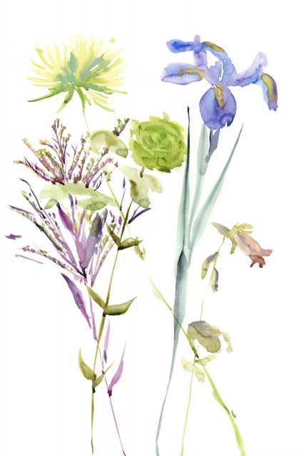 Watercolor Floral Study II