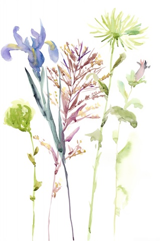 Watercolor Floral Study III