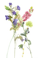 Watercolor Floral Study IV