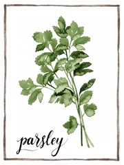 Watercolor Herbs II