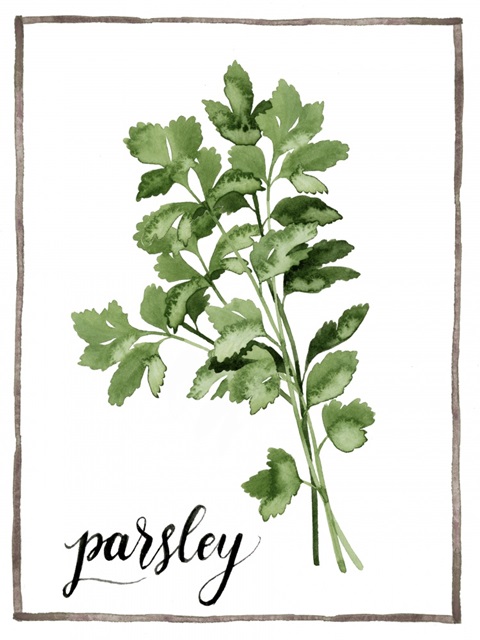 Watercolor Herbs II