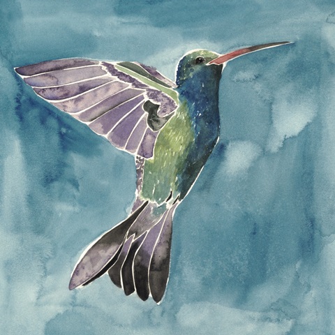Watercolor Hummingbird I