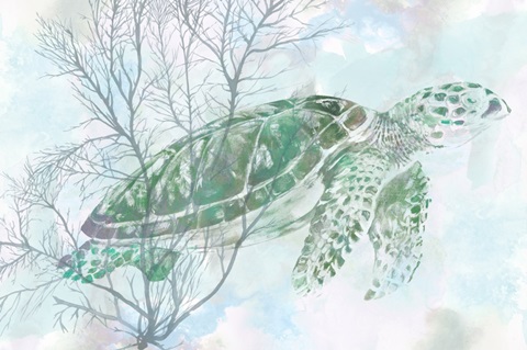 Watercolor Sea Turtle I
