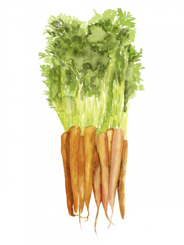 Watercolor Veggie III