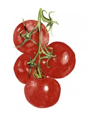 Watercolor Veggie IV