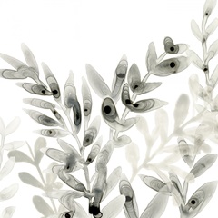 Watermark Foliage II