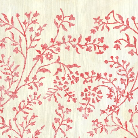 Weathered Patterns in Red V