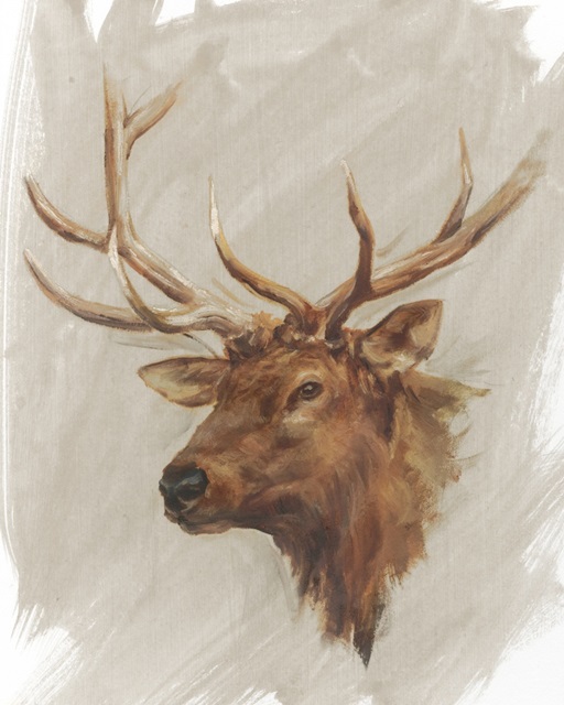 Western American Animal Study IV