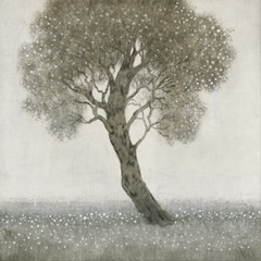 White Blossom Tree