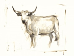 White Cattle II