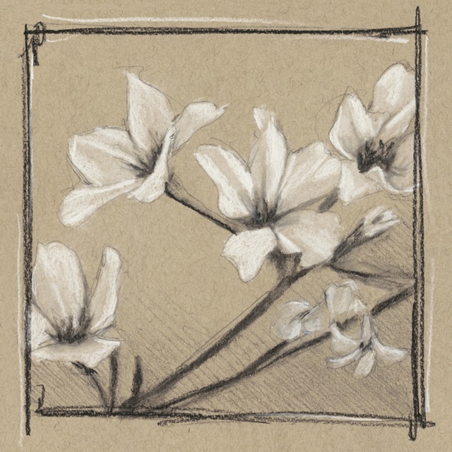 White Floral Study I