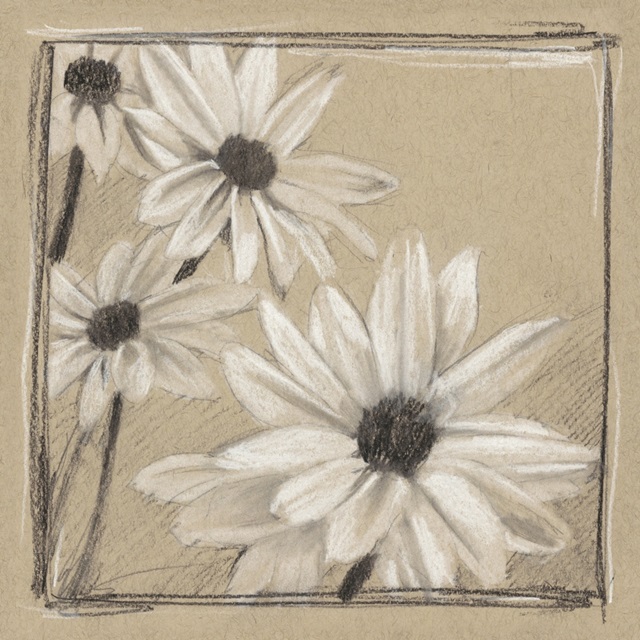 White Floral Study II