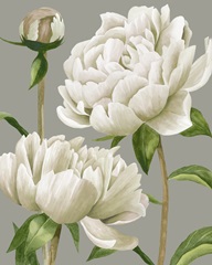 White Peonies I