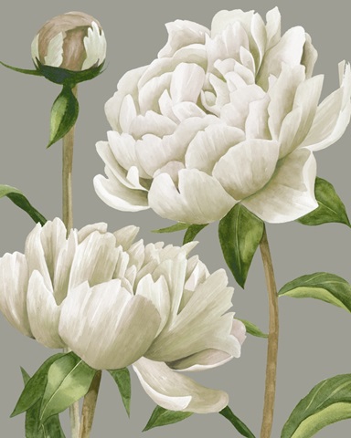 White Peonies I