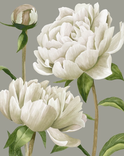 White Peonies I