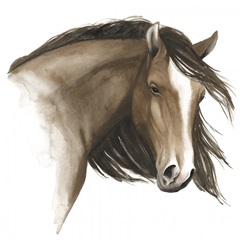 Wild Horse I
