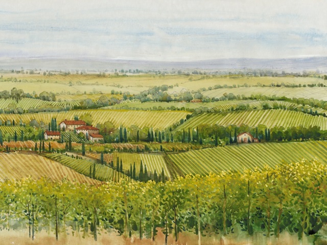 Wine Country View I