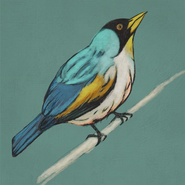 Winged Sketch II on Teal