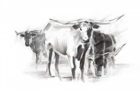 Contemporary Cattle II