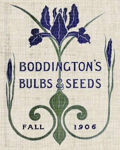 Flower Seed Packs IV