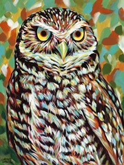 Fury Feather Friends II