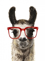 Hip Llama I