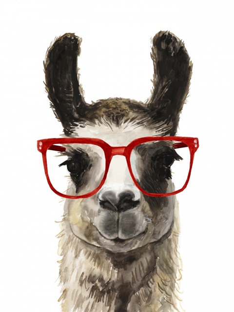 Hip Llama I