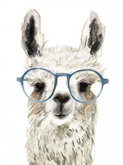 Hip Llama II