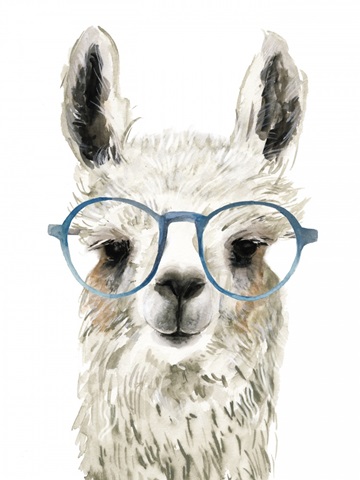 Hip Llama II