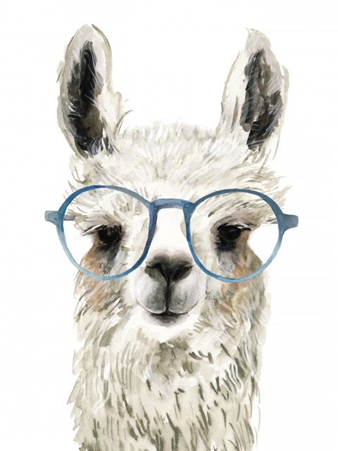 Hip Llama II