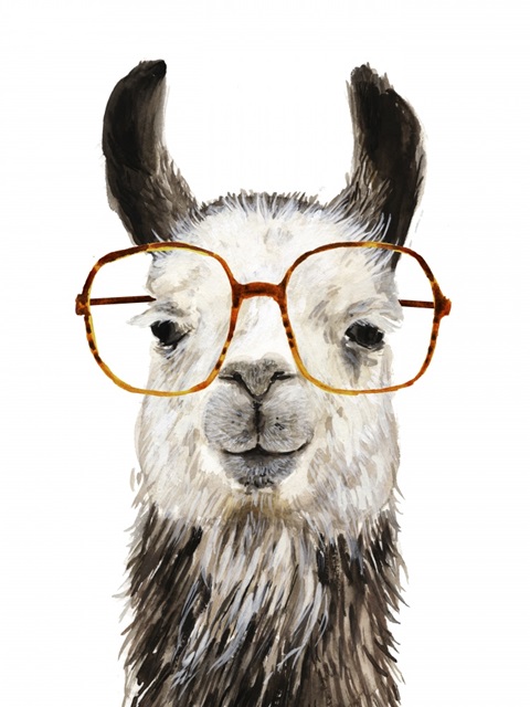 Hip Llama III