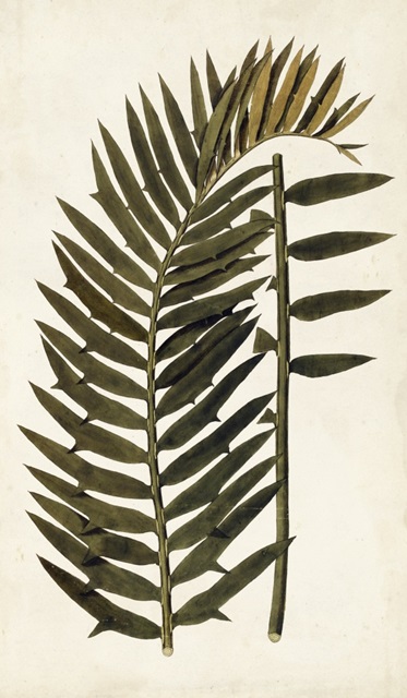 Leaf Varieties VIII