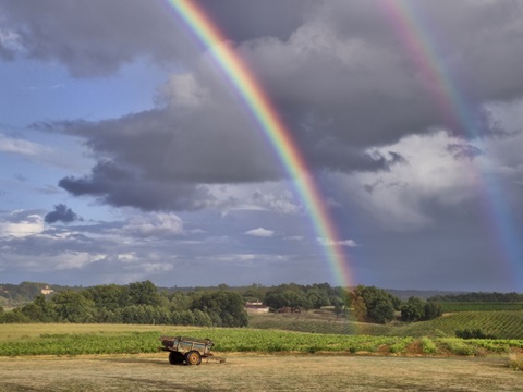 Pastoral Countryside VII