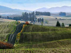 Pastoral Countryside XIII