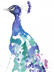 Peacock Splash II
