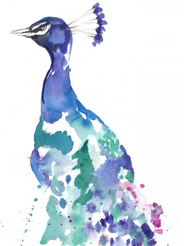 Peacock Splash II