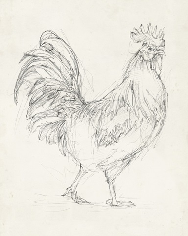 Rooster Sketch I