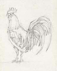 Rooster Sketch II