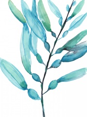 Watercolor Kelp I