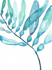 Watercolor Kelp II